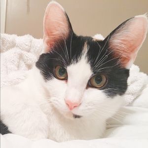 Meet your Posher, Jay